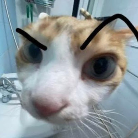 Meet the Posher Other - Meet your Posher, Janney